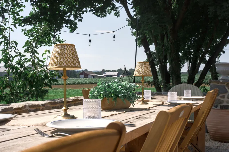 The long outdoor table laid under the trees, lamps and festoon lights above and the corn field beyond.