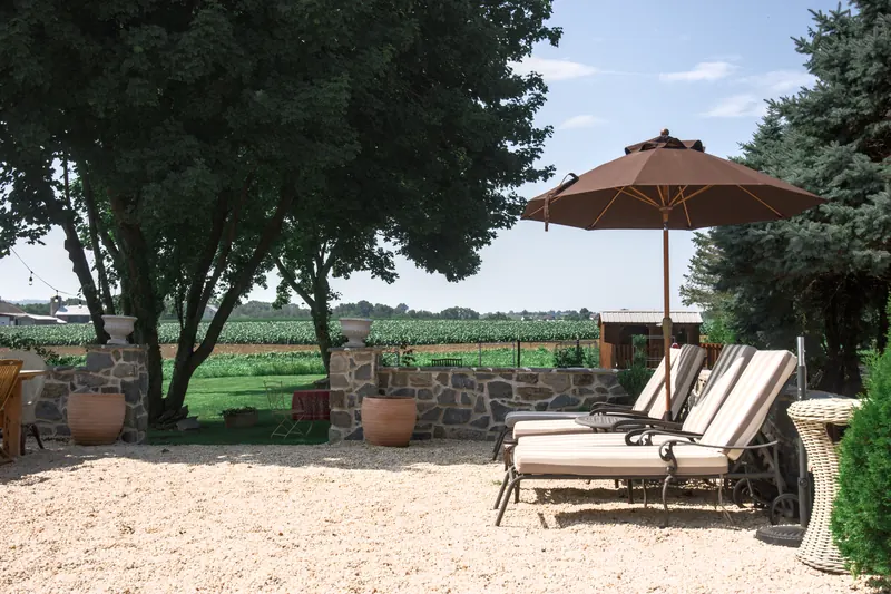 Late afternoon on the terrace, chairs drawn up under the trees.