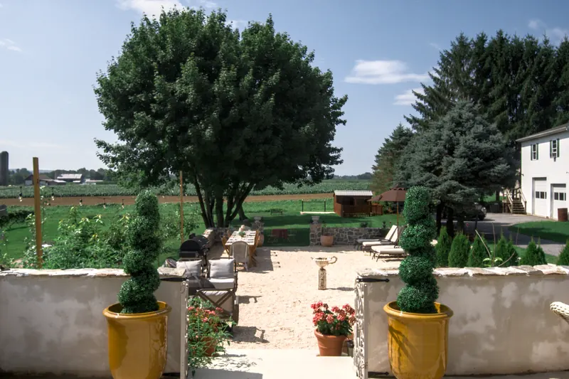 The terrace seen between two yellow glazed urns — a gravel path, loungers, and a clipped tree at the centre.